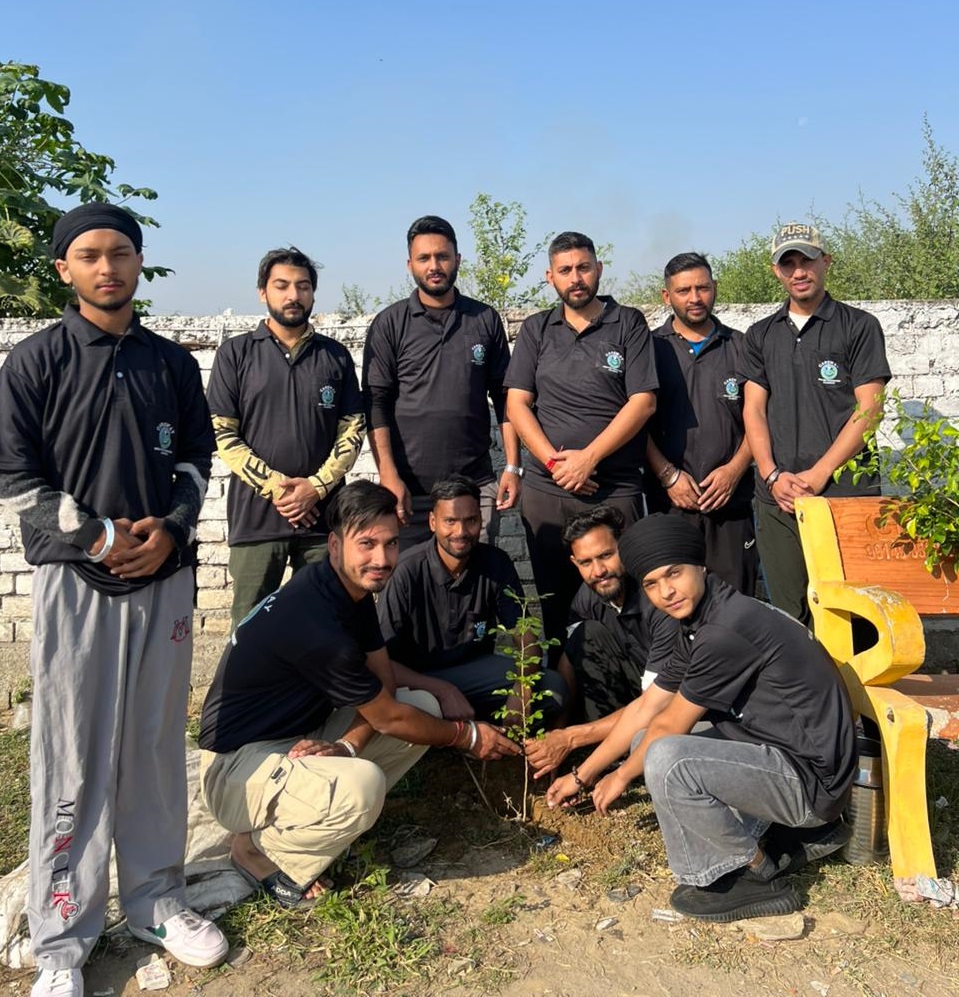 Tree Plantation Drive